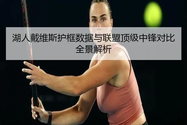 湖人戴维斯护框数据与联盟顶级中锋对比全景解析